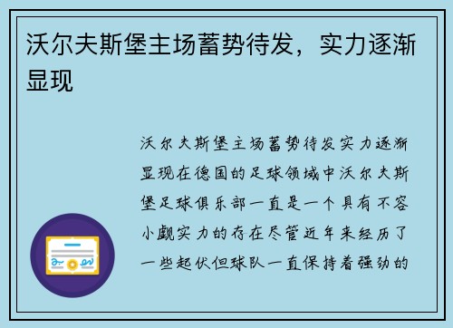 沃尔夫斯堡主场蓄势待发，实力逐渐显现