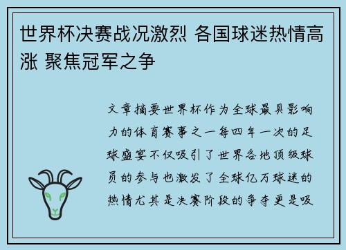世界杯决赛战况激烈 各国球迷热情高涨 聚焦冠军之争