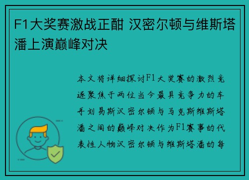 F1大奖赛激战正酣 汉密尔顿与维斯塔潘上演巅峰对决